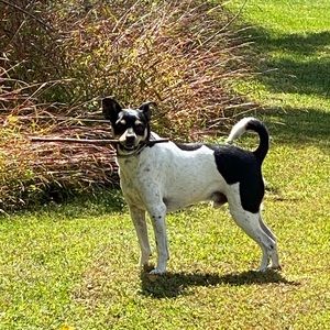 Meet your Posher, Maureen